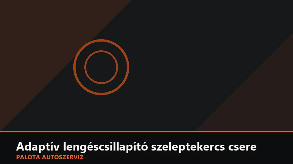 Adaptív lengéscsillapító szeleptekercs csere - Palota Autószerviz Budapest