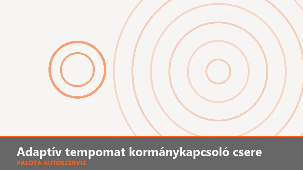 Adaptív tempomat kormánykapcsoló csere - Palota Autószerviz Budapest