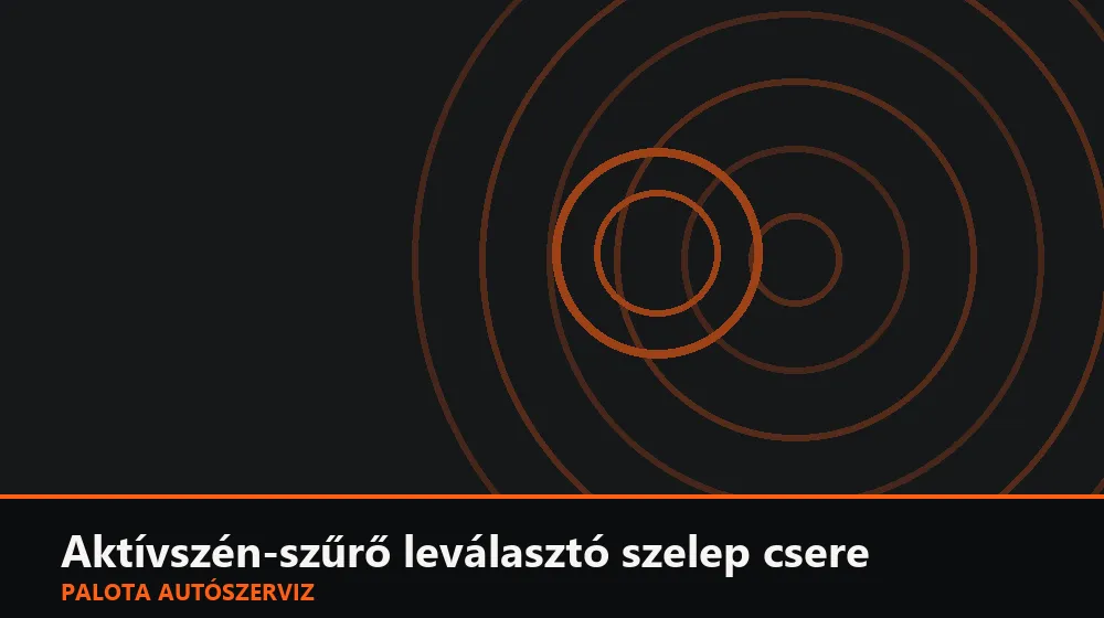 Aktívszén-szűrő leválasztó (kanóc) szelep csere - Palota Autószerviz Budapest