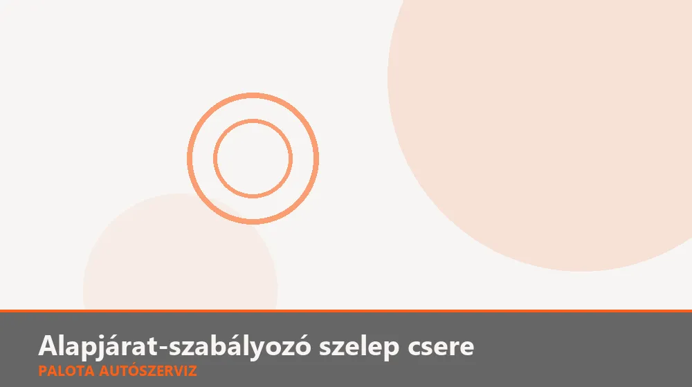 Alapjárat-szabályozó szelep csere - Palota Autószerviz Budapest