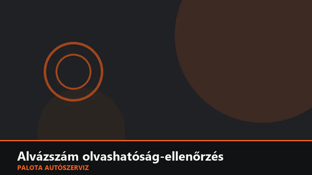 Alvázszám (VIN) olvashatóság-ellenőrzés - Palota Autószerviz Budapest