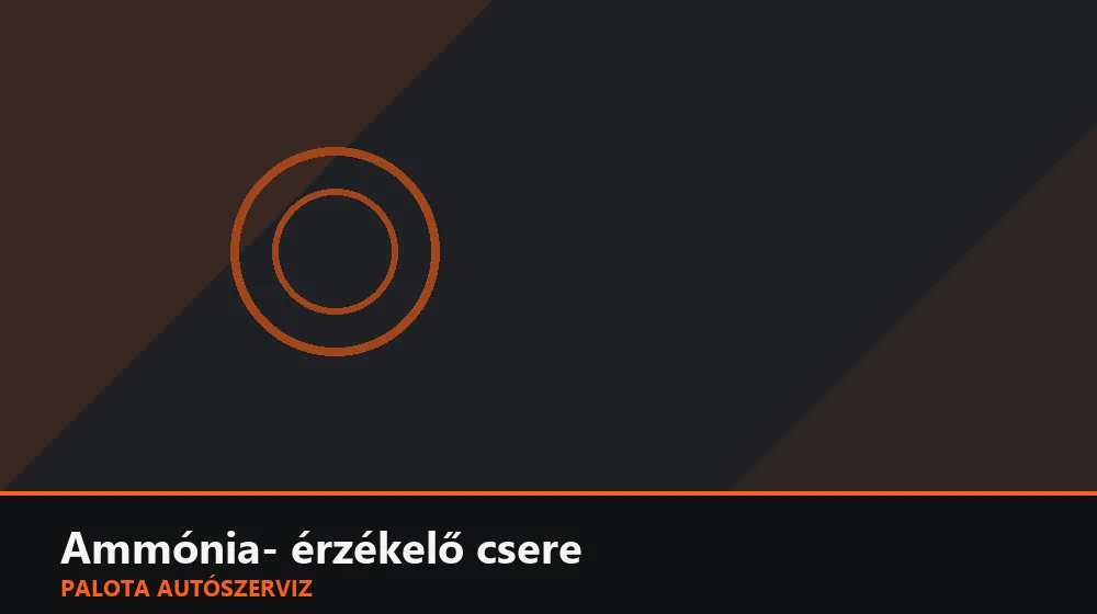 Ammónia- (NH3) érzékelő csere - Palota Autószerviz Budapest