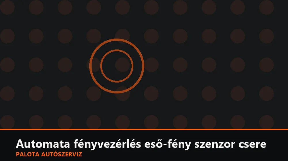 Automata fényvezérlés eső-fény szenzor csere - Palota Autószerviz Budapest