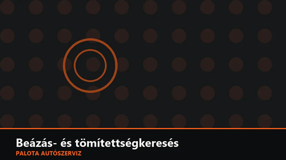 Beázás- és tömítettségkeresés - Palota Autószerviz Budapest