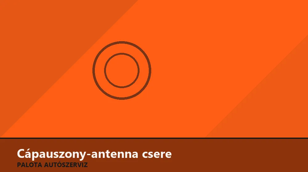 Cápauszony-antenna csere - Palota Autószerviz Budapest