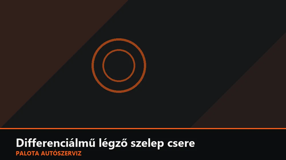 Differenciálmű légző (szellőző) szelep csere - Palota Autószerviz Budapest