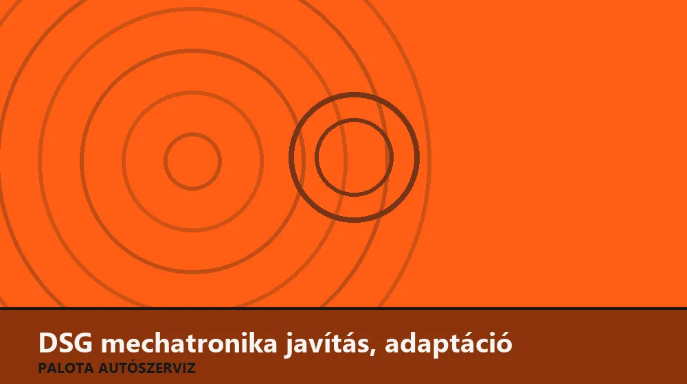 DSG mechatronika javítás, adaptáció - Palota Autószerviz Budapest