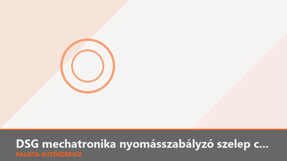 DSG mechatronika nyomásszabályzó szelep csere - Palota Autószerviz Budapest