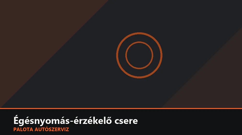 Égésnyomás-érzékelő (dízel) csere - Palota Autószerviz Budapest