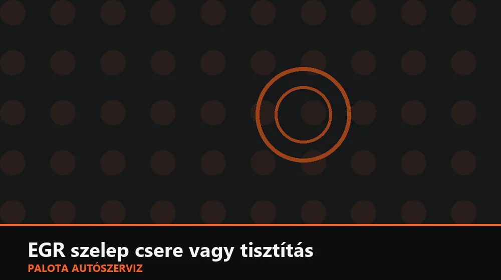 EGR szelep csere vagy tisztítás - Palota Autószerviz Budapest