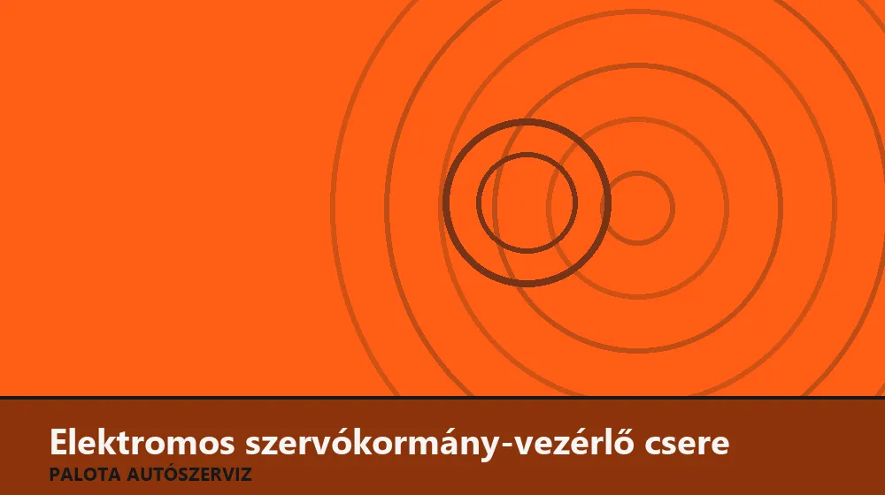 Elektromos szervókormány-vezérlő (ECU) csere - Palota Autószerviz Budapest