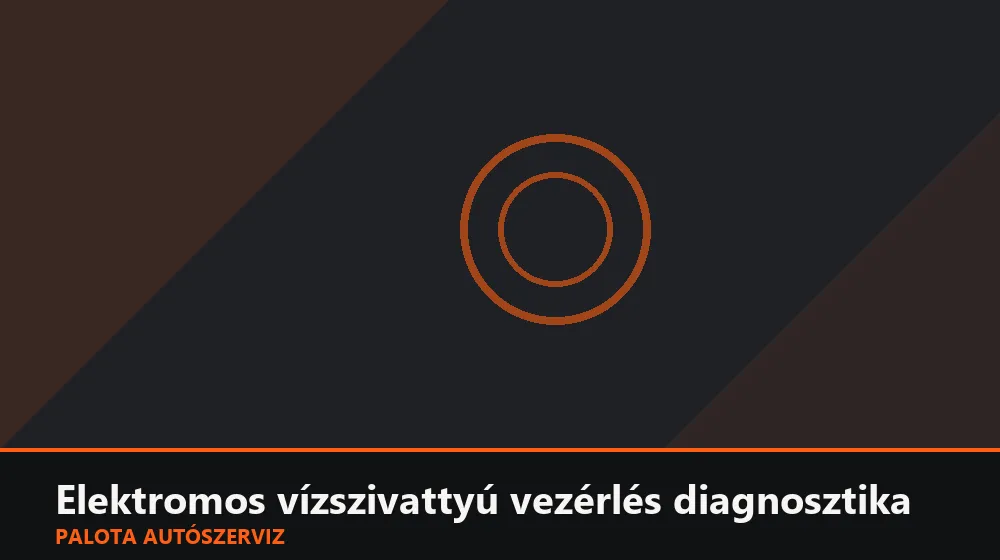 Elektromos vízszivattyú vezérlés diagnosztika - Palota Autószerviz Budapest