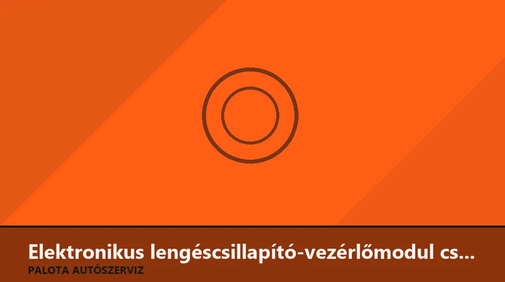 Elektronikus lengéscsillapító-vezérlőmodul csere - Palota Autószerviz Budapest