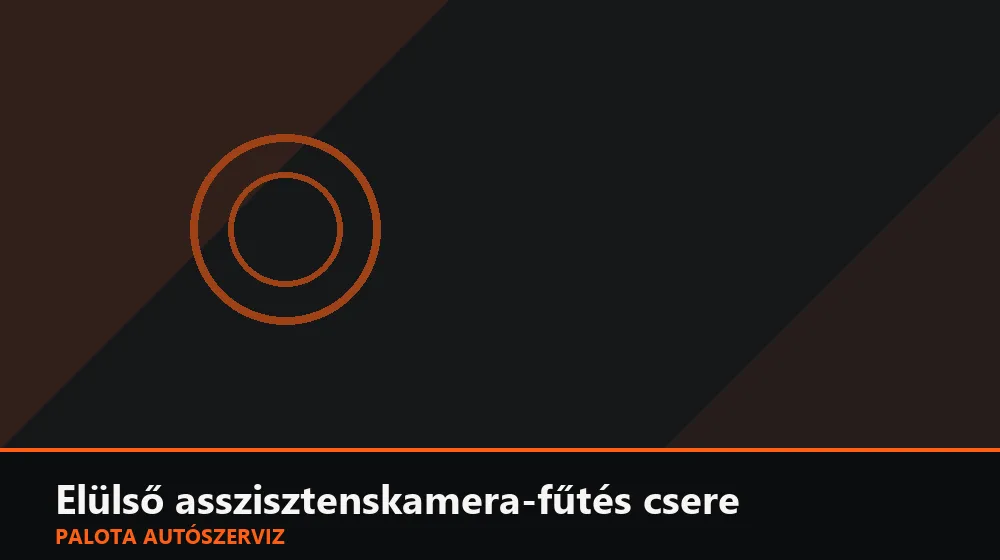 Elülső asszisztenskamera-fűtés csere - Palota Autószerviz Budapest