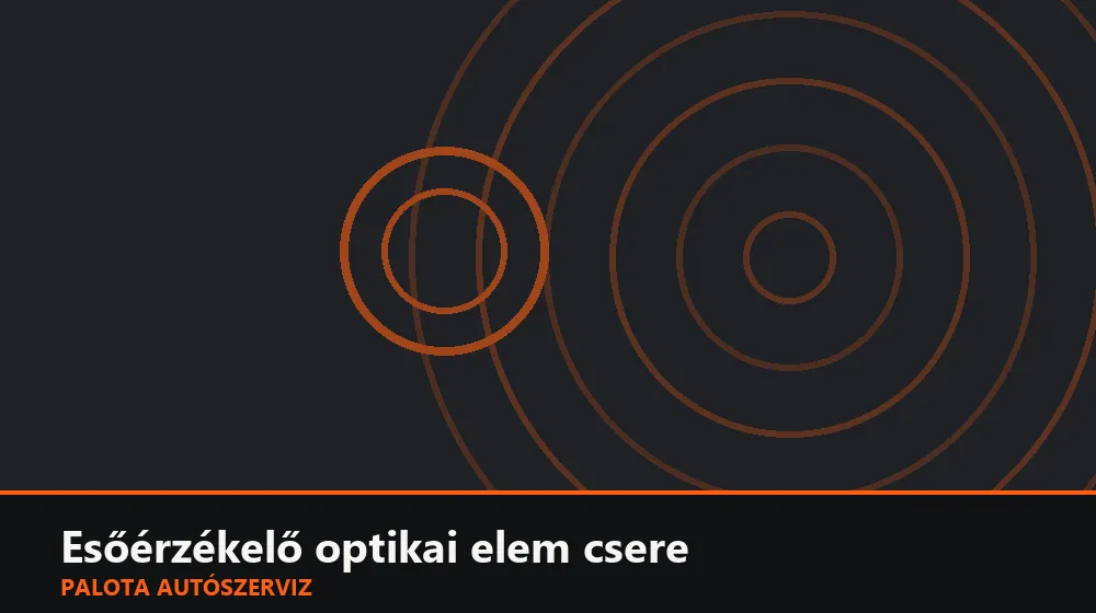 Esőérzékelő optikai elem (szélvédőn) csere - Palota Autószerviz Budapest
