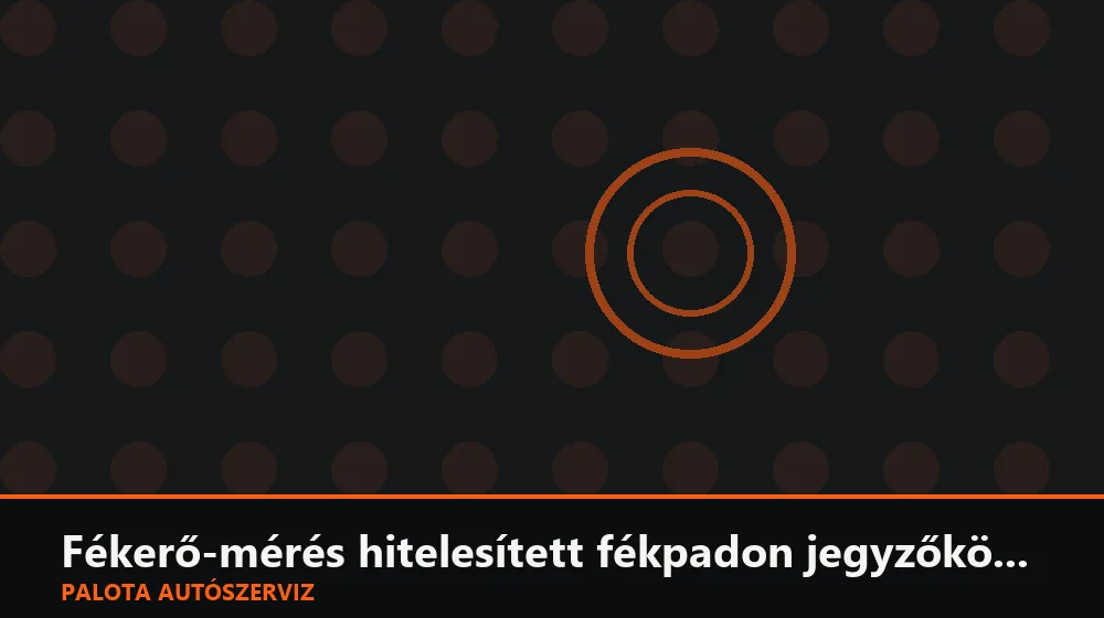 Fékerő-mérés hitelesített fékpadon jegyzőkönyvvel - Palota Autószerviz Budapest