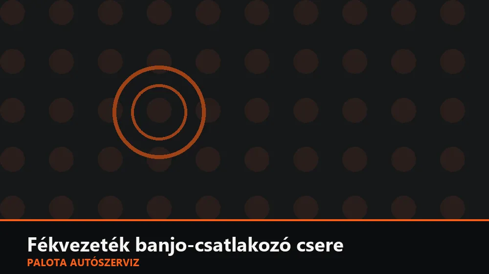 Fékvezeték banjo-csatlakozó csere - Palota Autószerviz Budapest