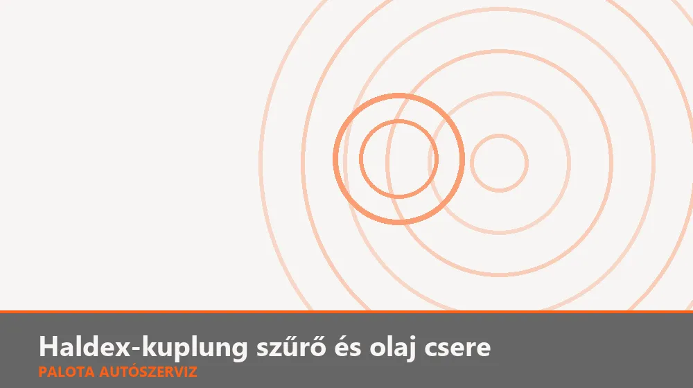 Haldex-kuplung szűrő és olaj csere - Palota Autószerviz Budapest