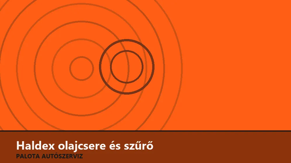 Haldex olajcsere és szűrő - Palota Autószerviz Budapest