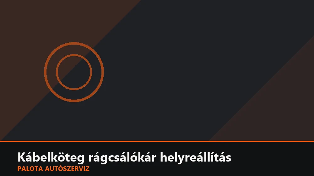 Kábelköteg rágcsálókár helyreállítás - Palota Autószerviz Budapest