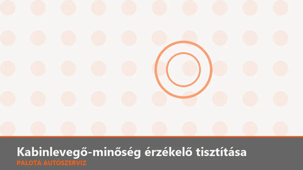 Kabinlevegő-minőség érzékelő tisztítása - Palota Autószerviz Budapest