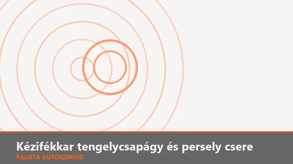 Kézifékkar tengelycsapágy és persely csere - Palota Autószerviz Budapest