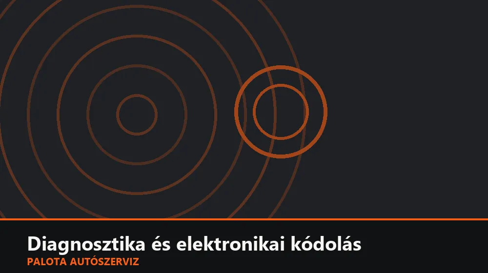 Diagnosztika és elektronikai kódolás szakszerű elvégzése, XII. kerület