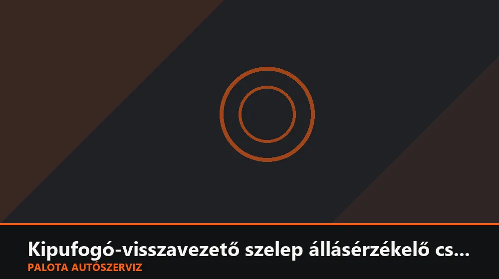 Kipufogó-visszavezető szelep állásérzékelő csere - Palota Autószerviz Budapest