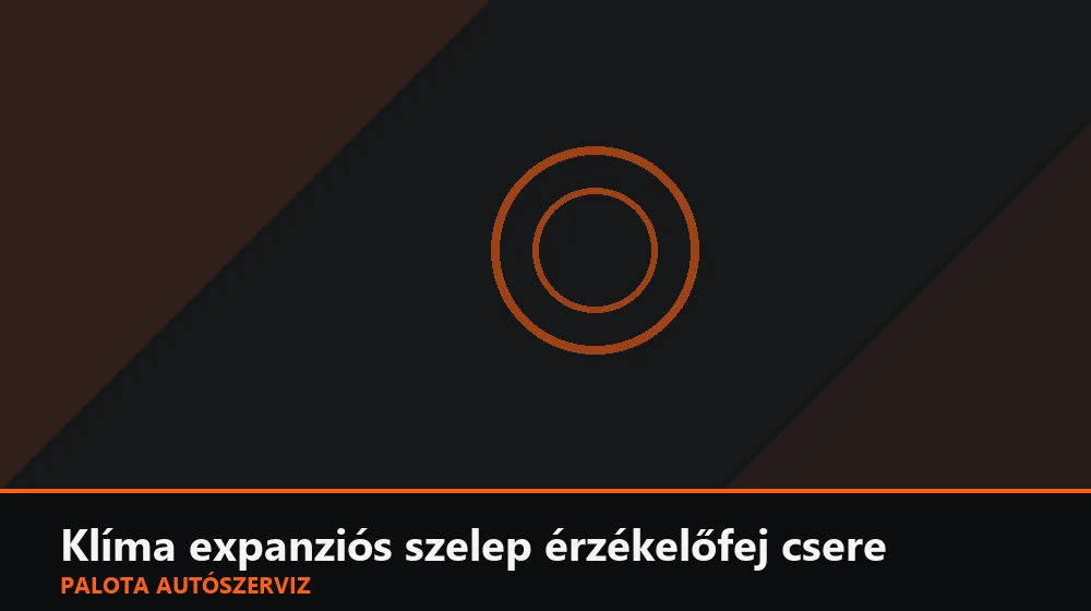 Klíma expanziós szelep érzékelőfej csere - Palota Autószerviz Budapest