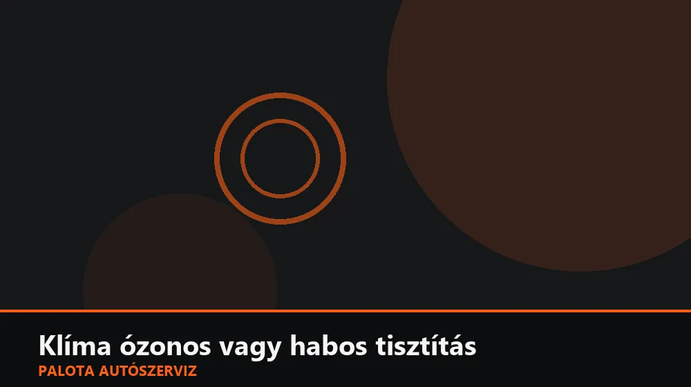Klíma ózonos vagy habos tisztítás - Palota Autószerviz Budapest