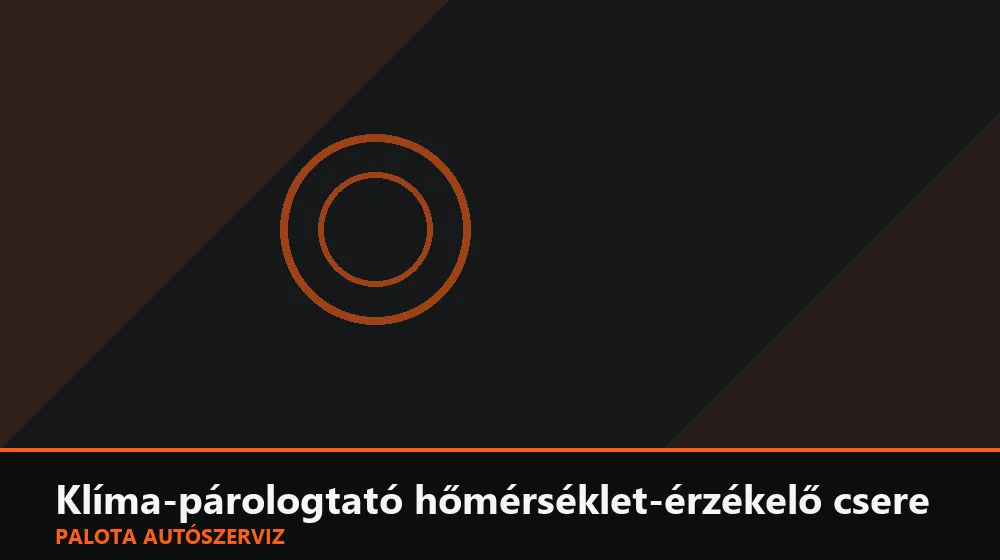 Klíma-párologtató hőmérséklet-érzékelő csere - Palota Autószerviz Budapest