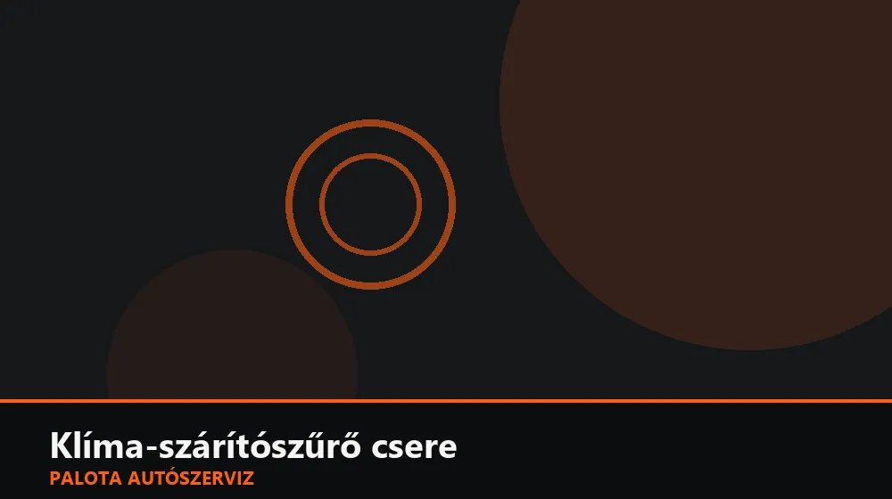 Klíma-szárítószűrő (patron) csere - Palota Autószerviz Budapest