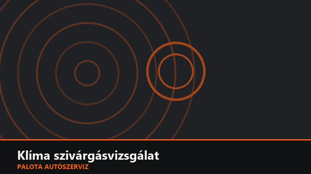 Klíma szivárgásvizsgálat - Palota Autószerviz Budapest