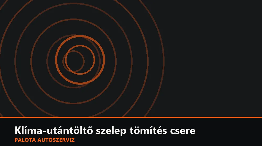 Klíma-utántöltő szelep tömítés csere - Palota Autószerviz Budapest