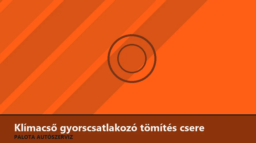 Klímacső gyorscsatlakozó tömítés csere - Palota Autószerviz Budapest