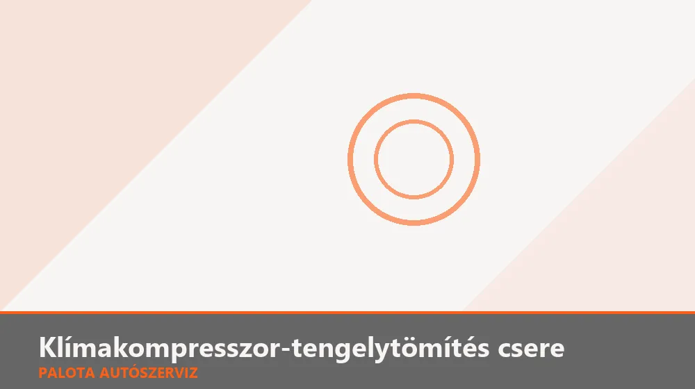 Klímakompresszor-tengelytömítés csere - Palota Autószerviz Budapest