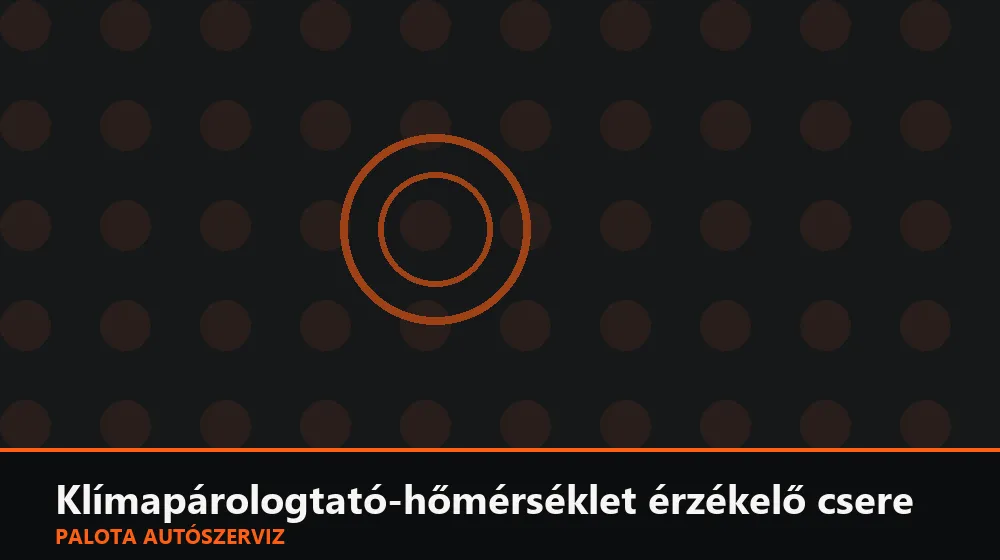Klímapárologtató-hőmérséklet érzékelő csere - Palota Autószerviz Budapest