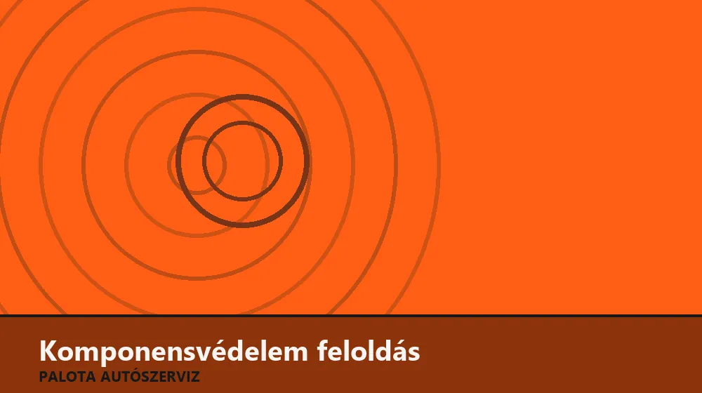 Komponensvédelem feloldás - Palota Autószerviz Budapest