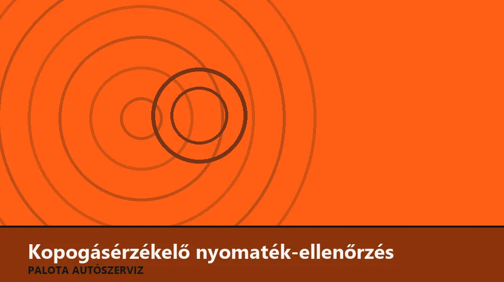 Kopogásérzékelő nyomaték-ellenőrzés - Palota Autószerviz Budapest