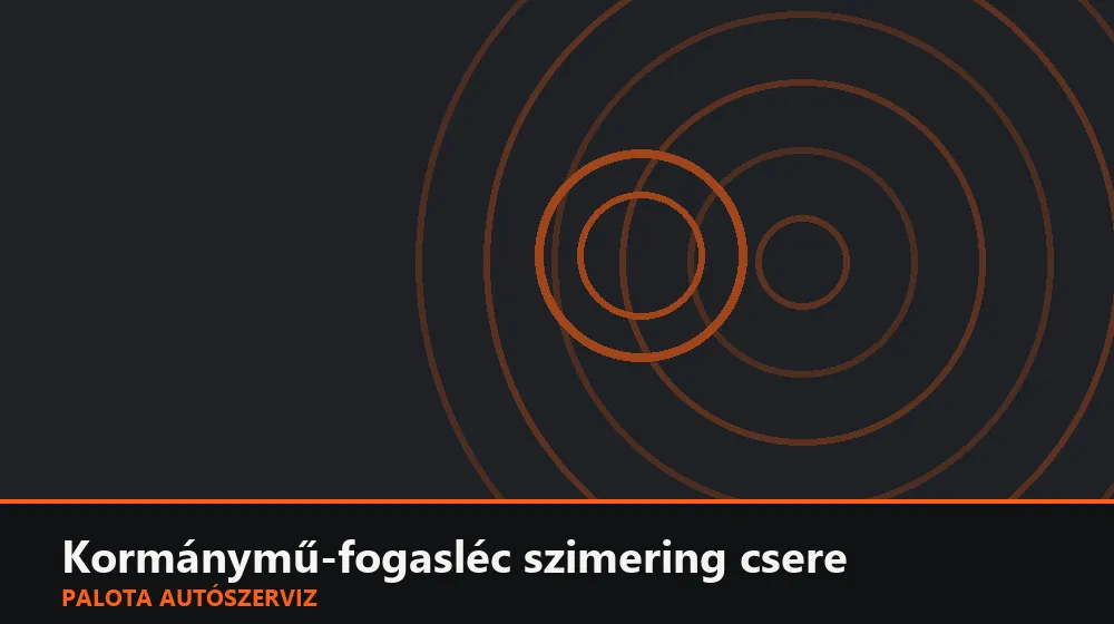 Kormánymű-fogasléc szimering csere - Palota Autószerviz Budapest