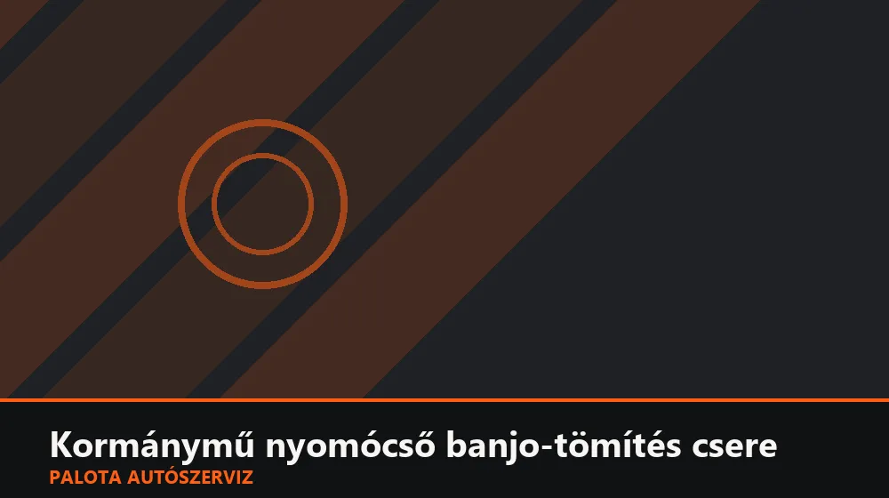 Kormánymű nyomócső banjo-tömítés csere - Palota Autószerviz Budapest