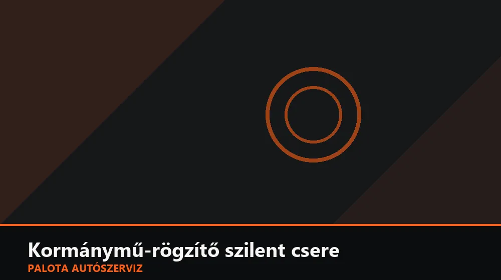 Kormánymű-rögzítő (bölcső) szilent csere - Palota Autószerviz Budapest