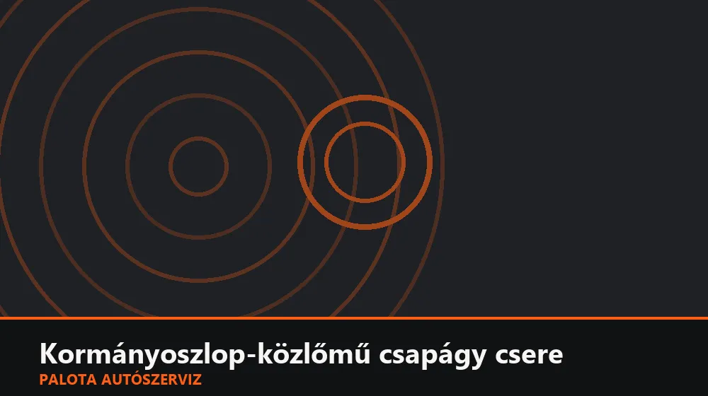 Kormányoszlop-közlőmű (kardán) csapágy csere - Palota Autószerviz Budapest