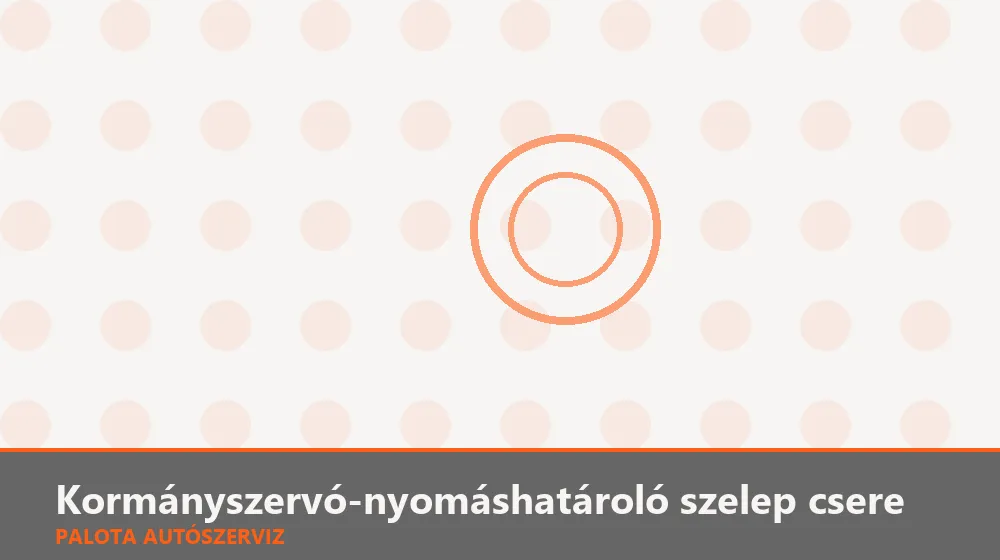 Kormányszervó-nyomáshatároló szelep csere - Palota Autószerviz Budapest