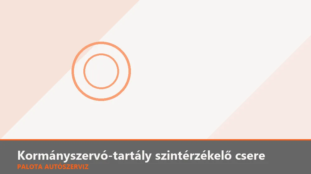 Kormányszervó-tartály szintérzékelő csere - Palota Autószerviz Budapest