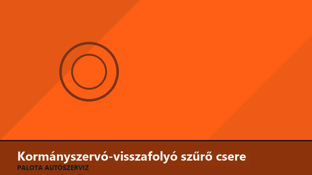 Kormányszervó-visszafolyó szűrő csere - Palota Autószerviz Budapest