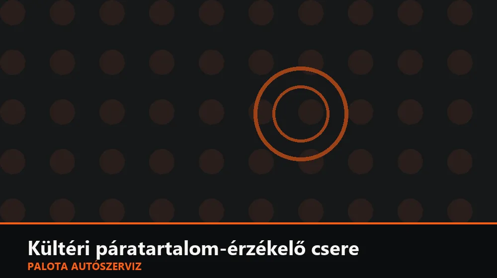 Kültéri páratartalom-érzékelő csere - Palota Autószerviz Budapest
