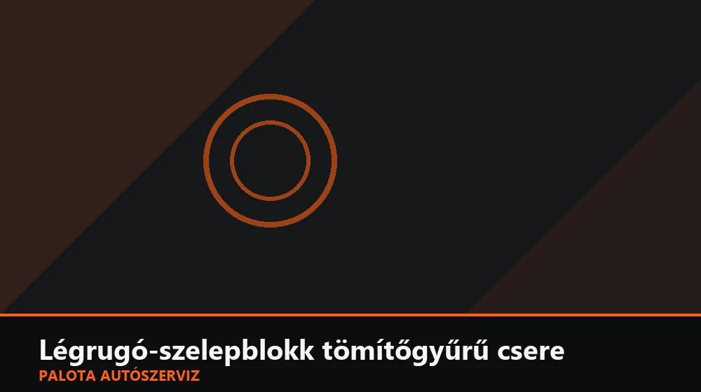 Légrugó-szelepblokk tömítőgyűrű csere - Palota Autószerviz Budapest