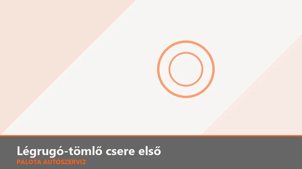 Légrugó-tömlő csere első - Palota Autószerviz Budapest
