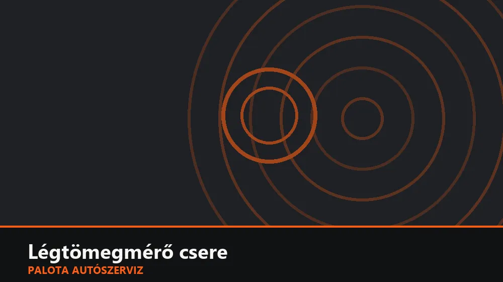 Légtömegmérő csere - Palota Autószerviz Budapest